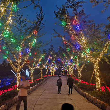 湖南張家界市政道路亮化